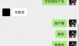黑料是什么意思,真相与误解的交织